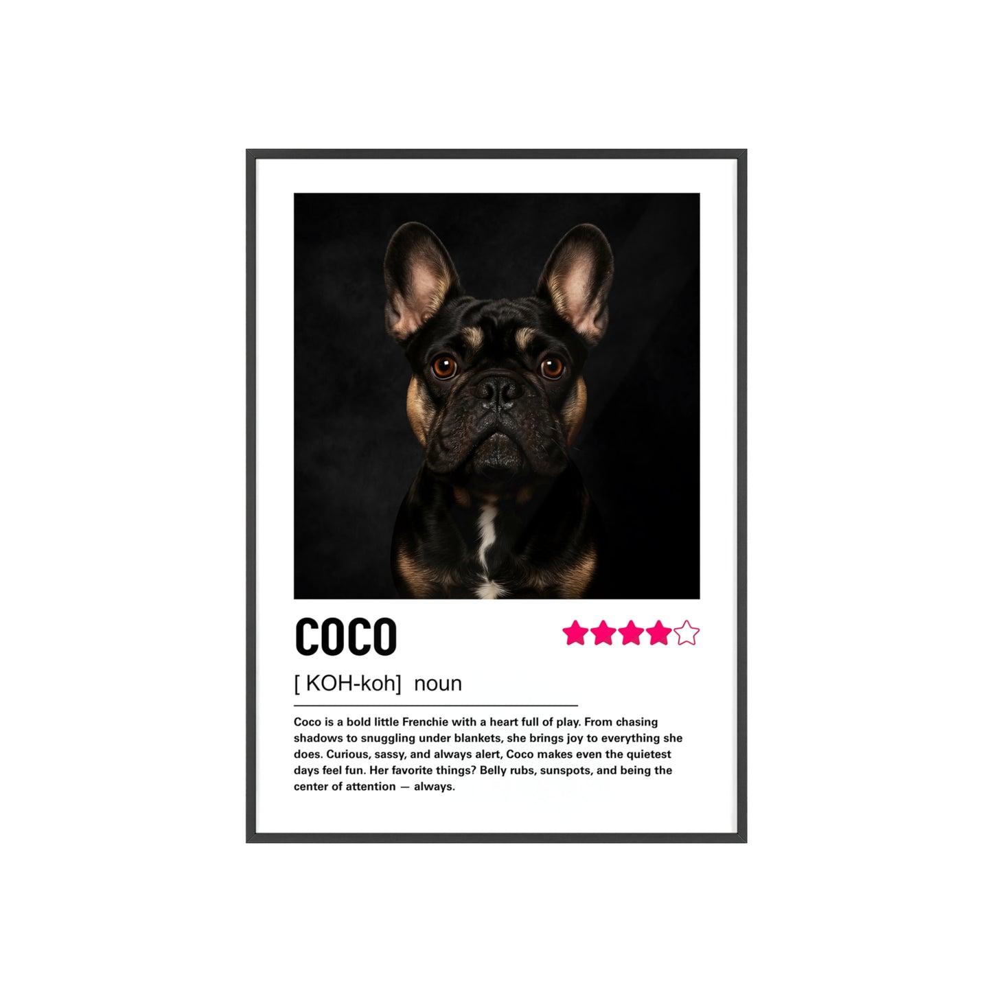 Custom Contemporary Pet Portrait
