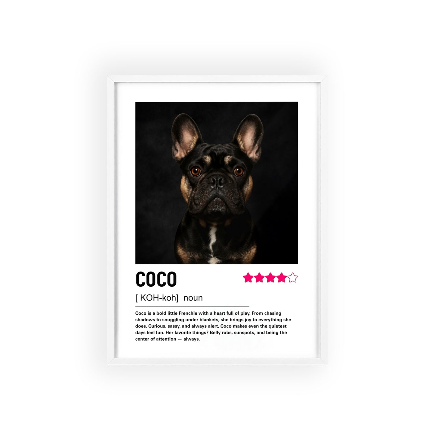 Custom Contemporary Pet Portrait