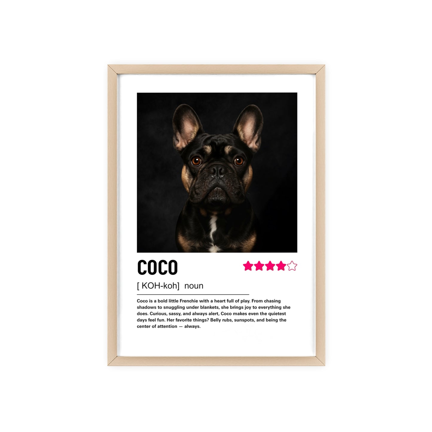 Custom Contemporary Pet Portrait
