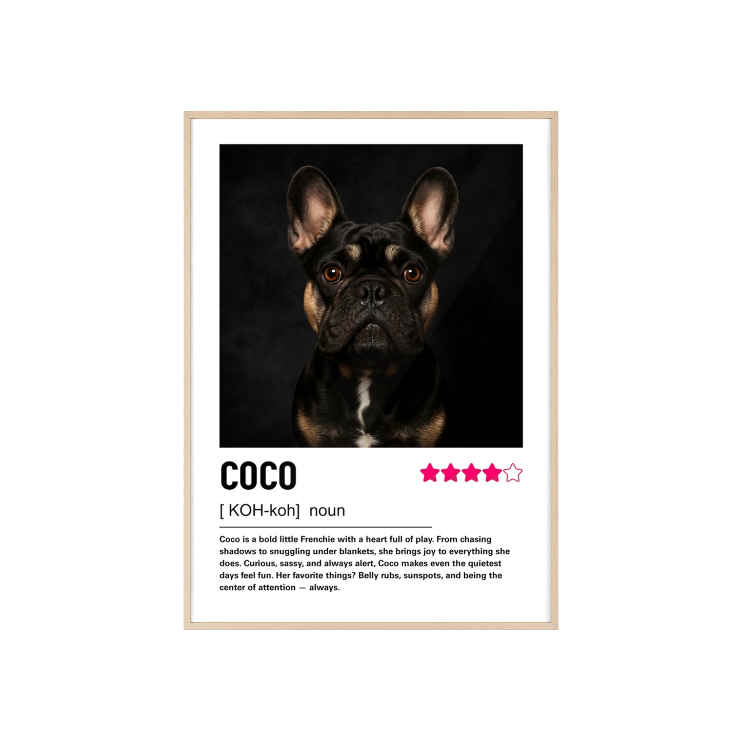 Custom Contemporary Pet Portrait