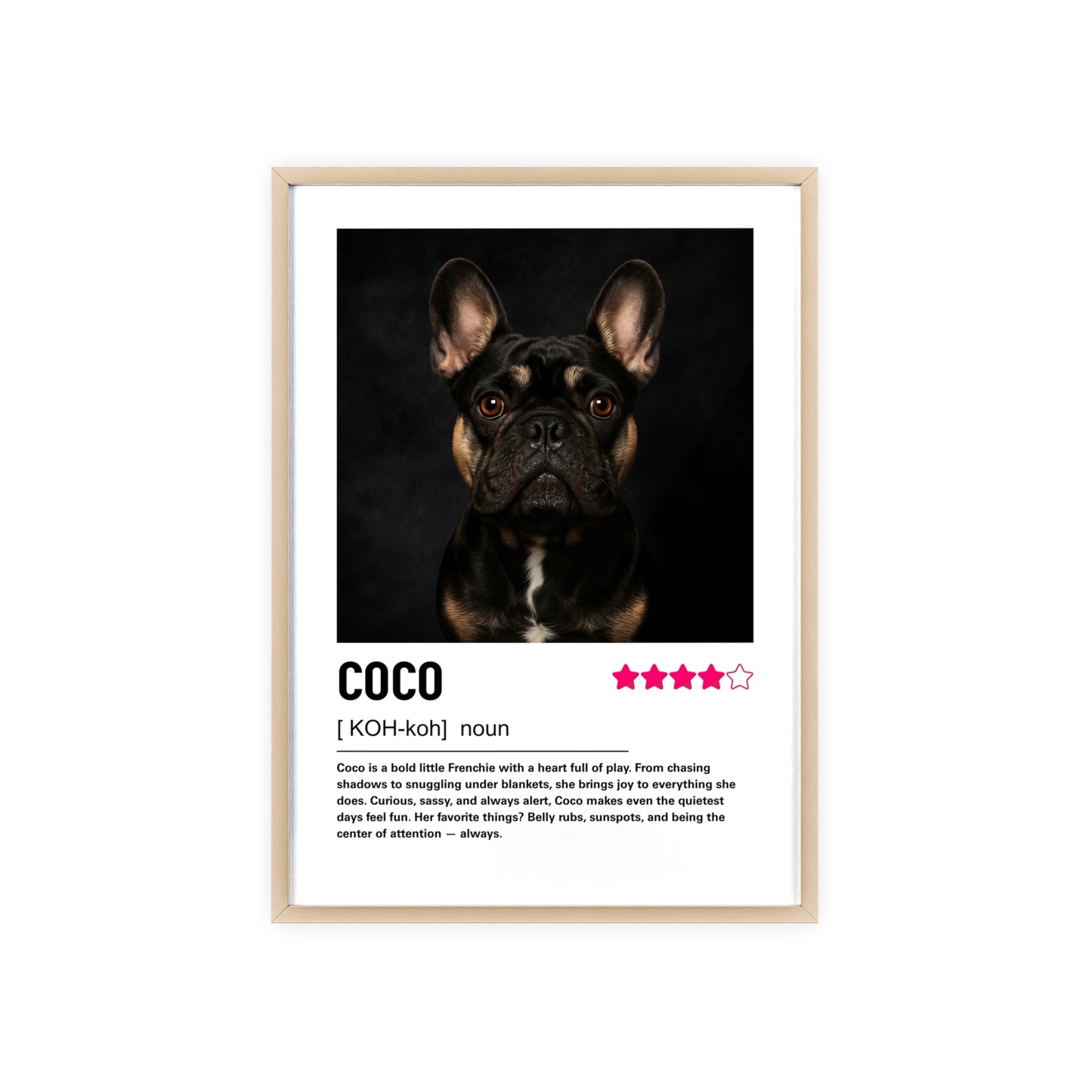 Custom Contemporary Pet Portrait
