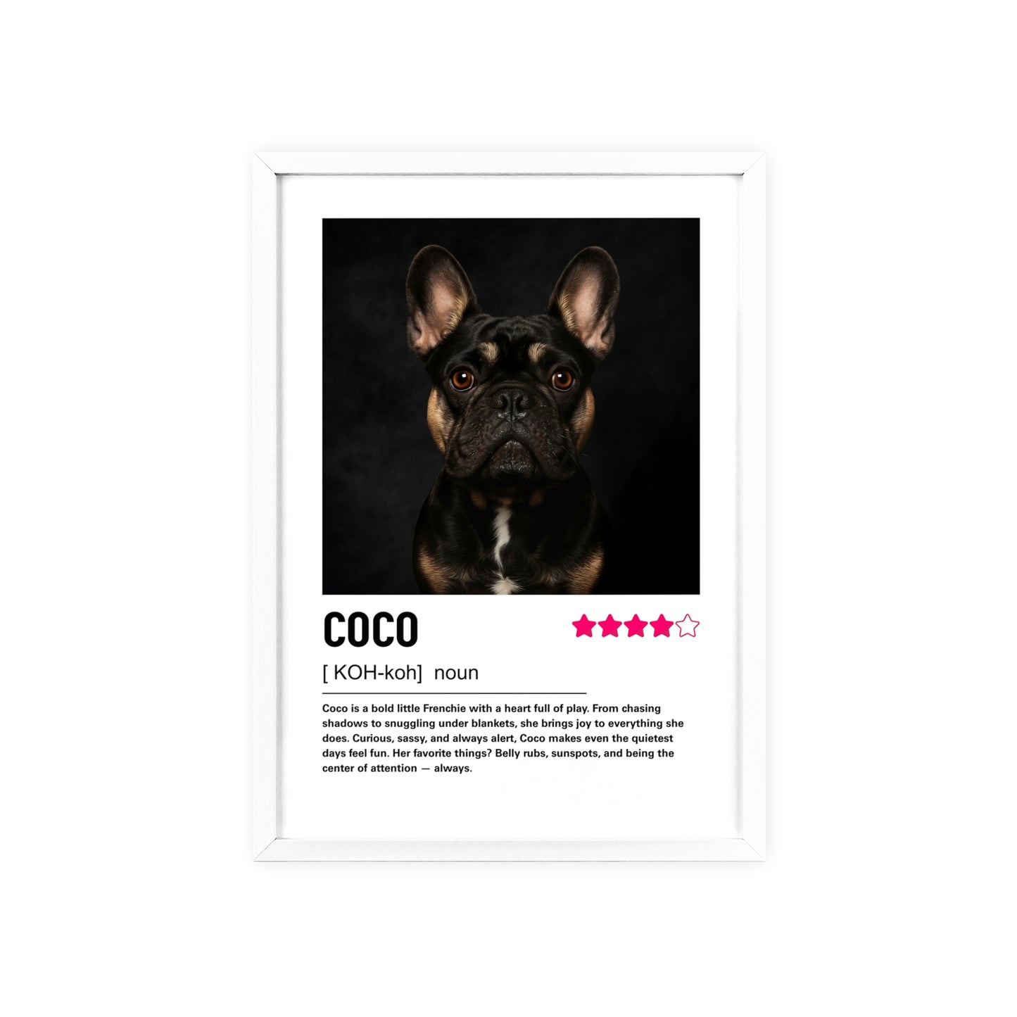 Custom Contemporary Pet Portrait