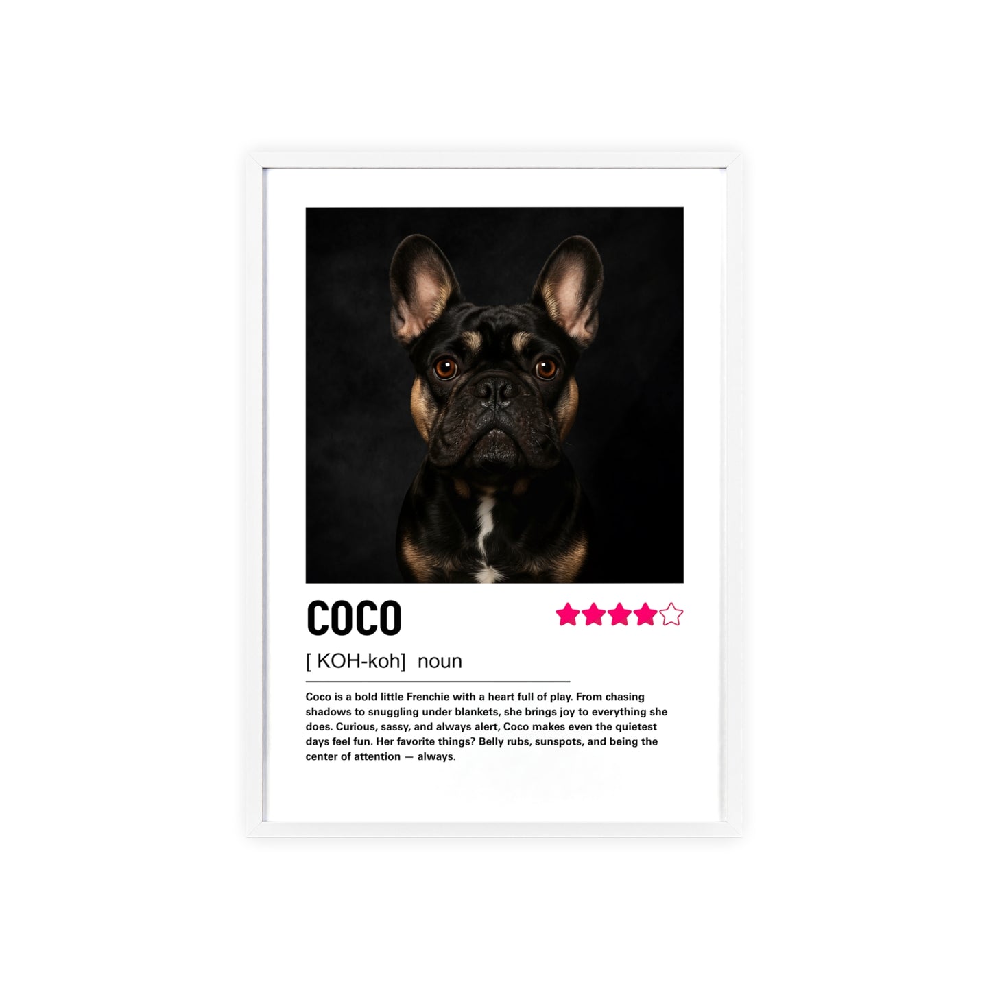 Custom Contemporary Pet Portrait