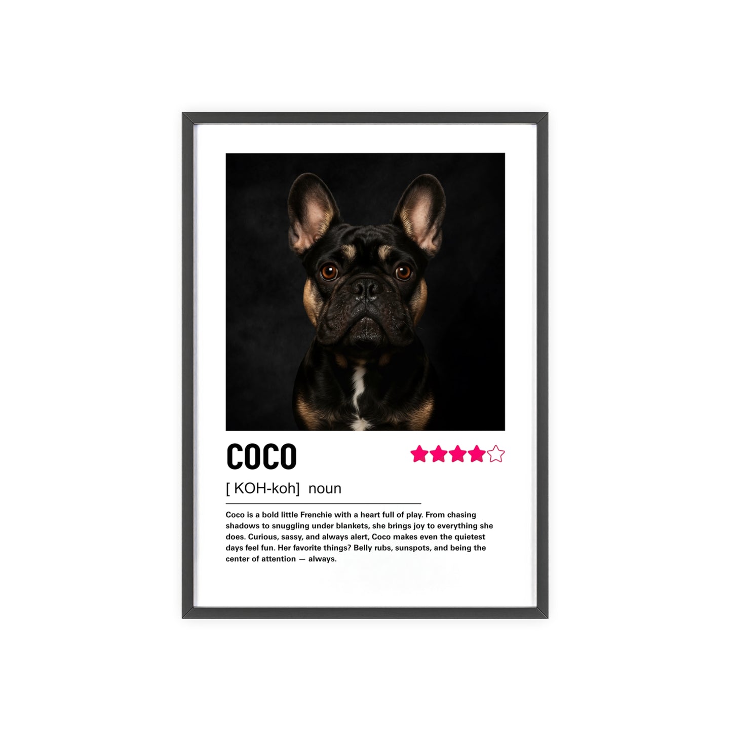Custom Contemporary Pet Portrait