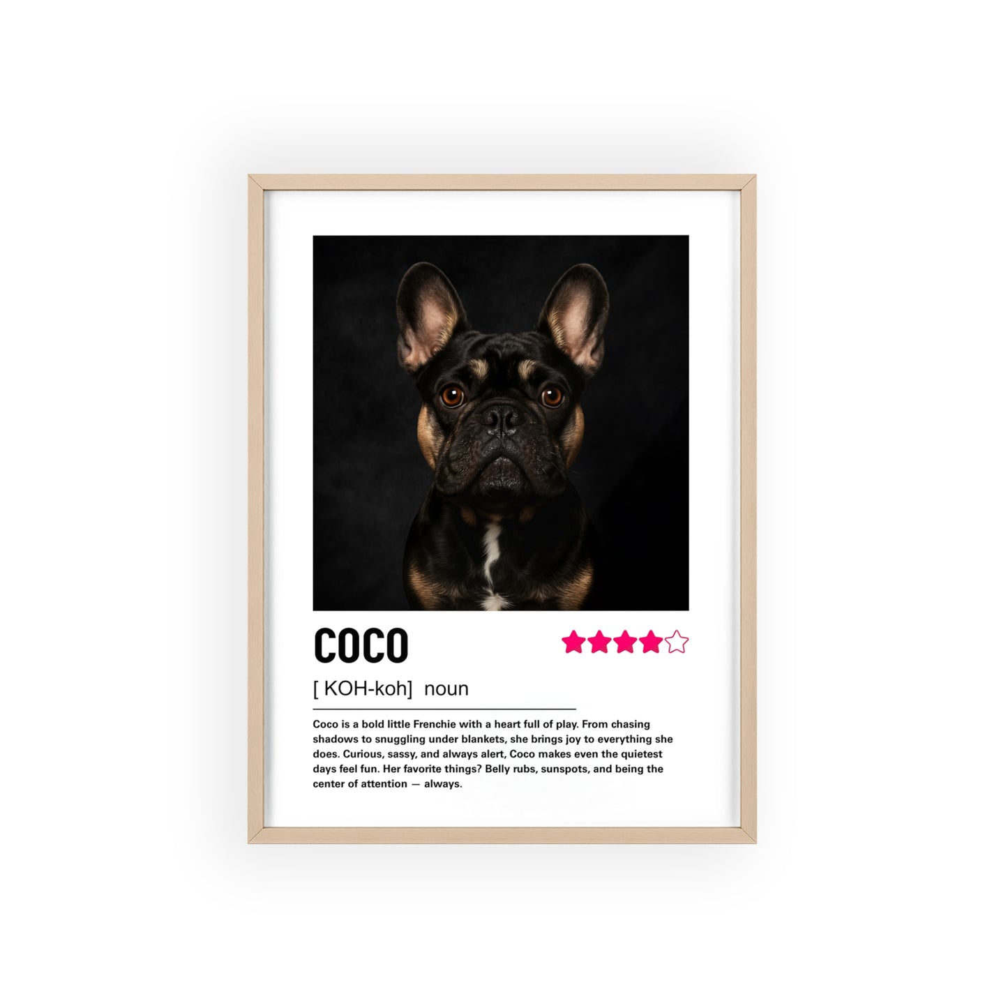 Custom Contemporary Pet Portrait