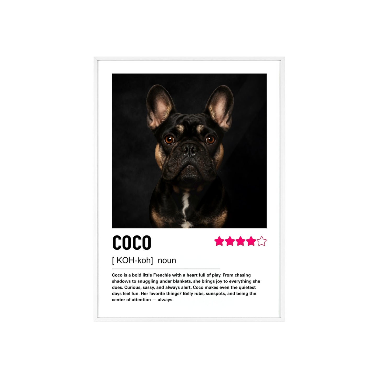 Custom Contemporary Pet Portrait