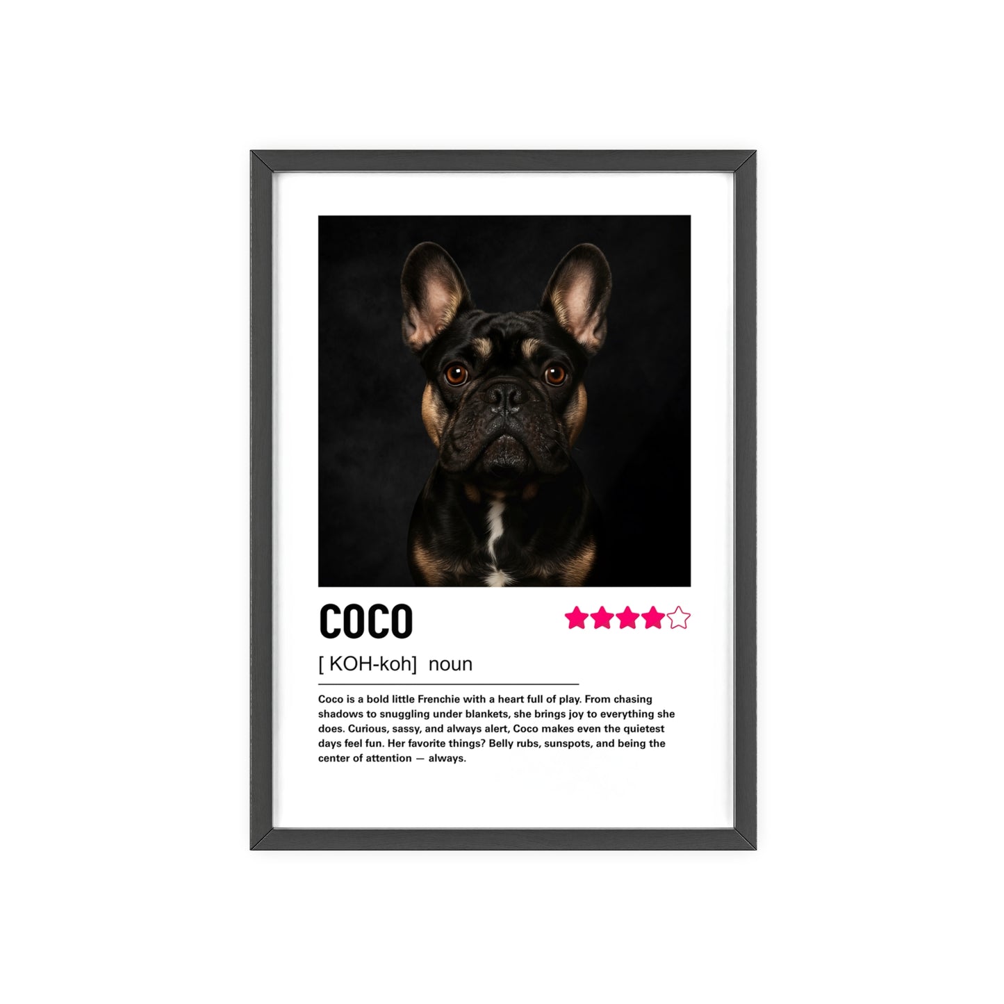 Custom Contemporary Pet Portrait