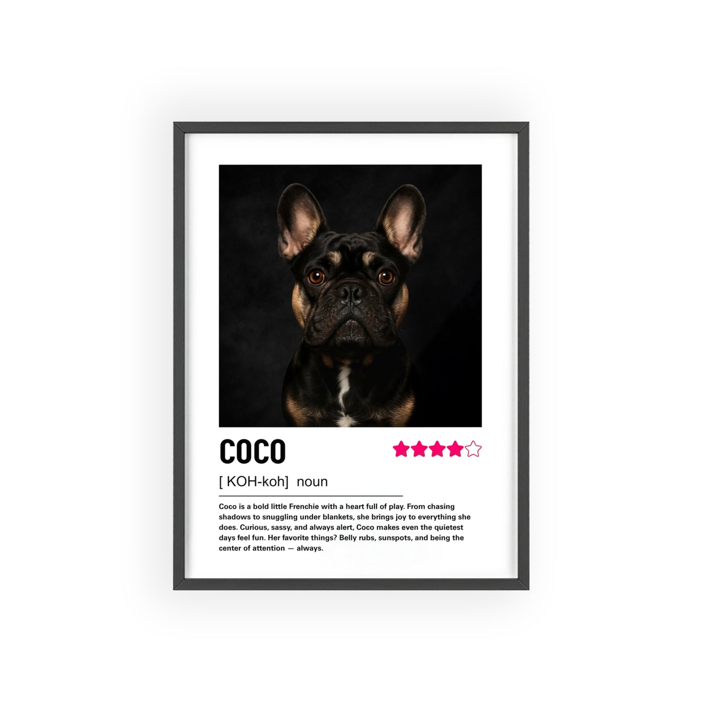 Custom Contemporary Pet Portrait