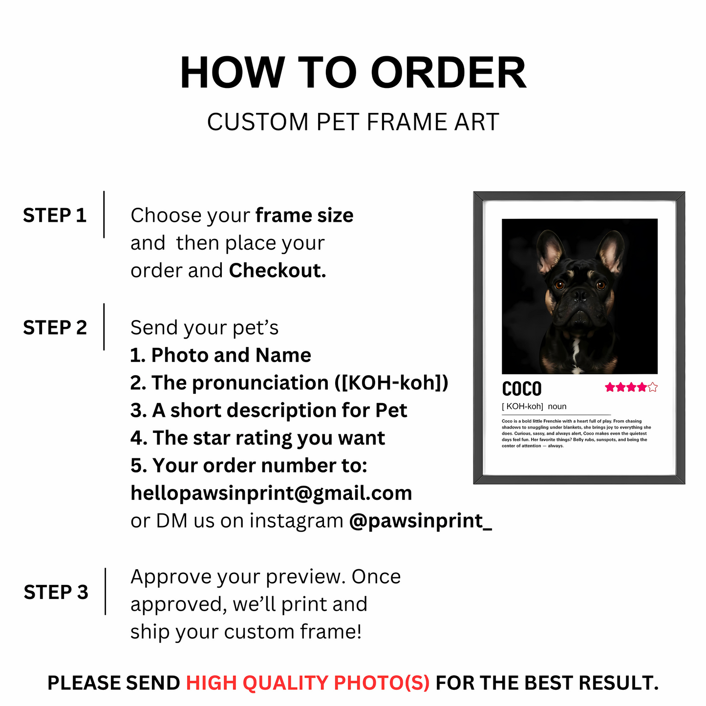 Custom Contemporary Pet Portrait