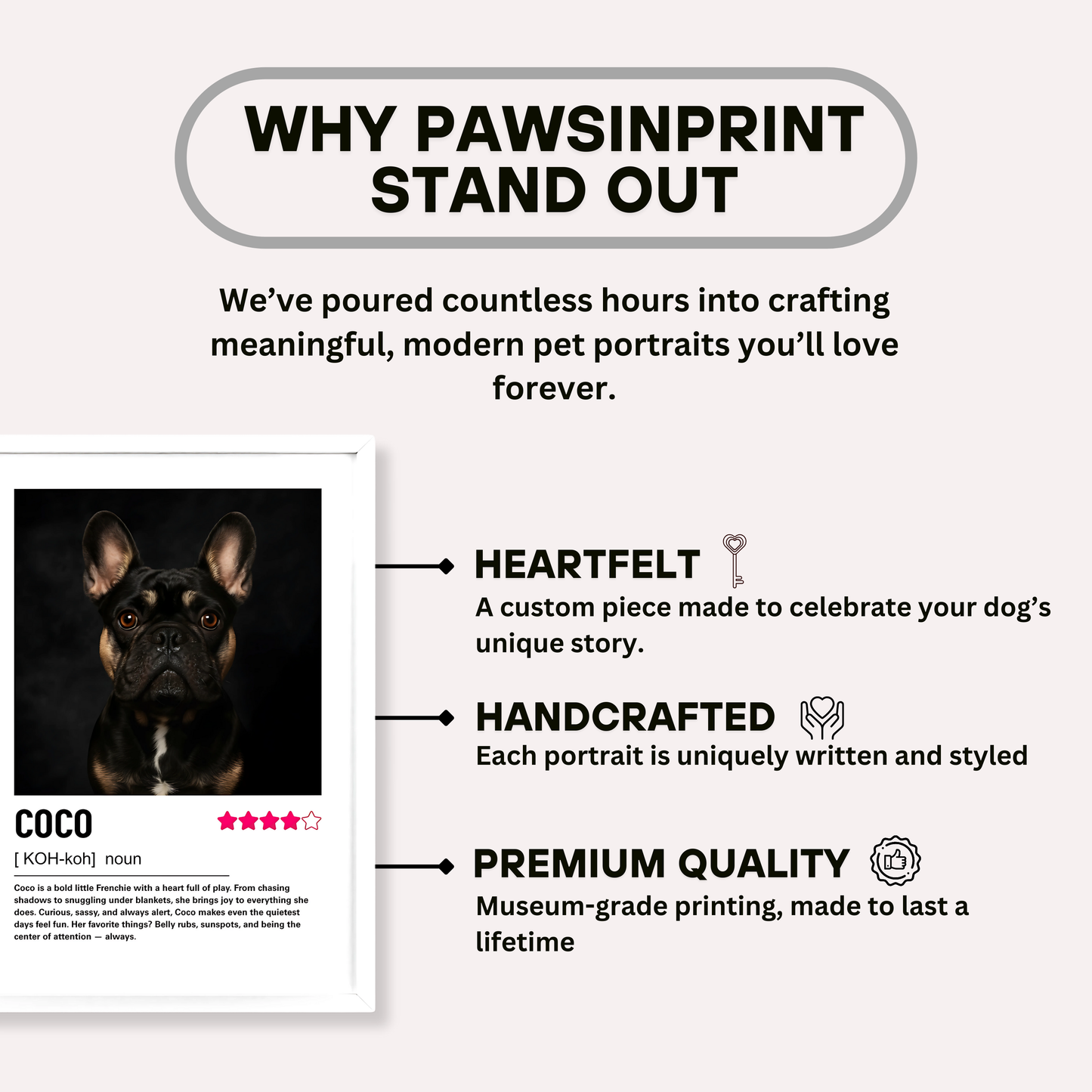 Custom Contemporary Pet Portrait