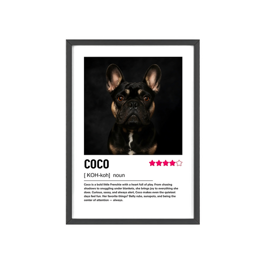 Custom Contemporary Pet Portrait